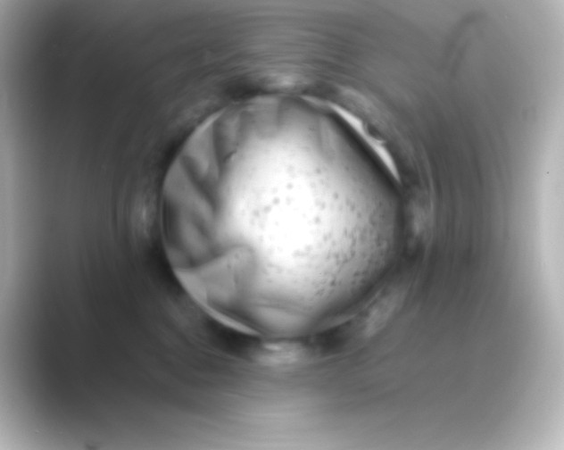 X0000088700376200706211949