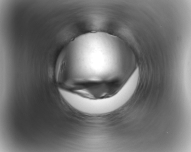 X0000088700380200706211949