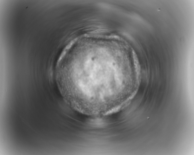 X0000088700381200706211949