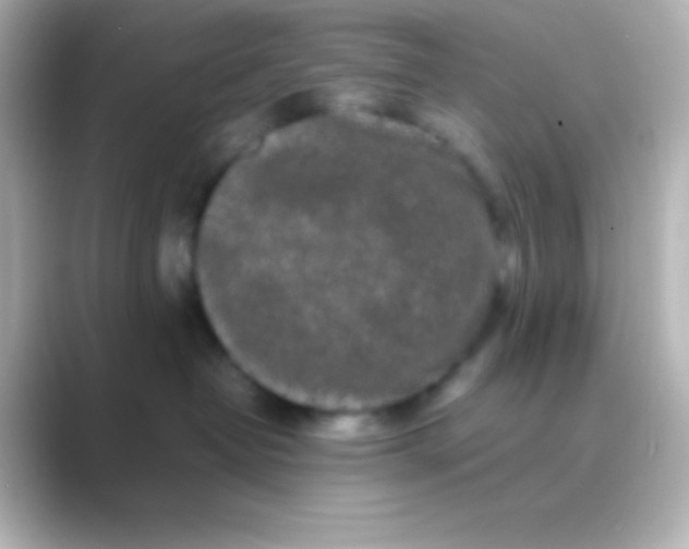 X0000088700382200706211949