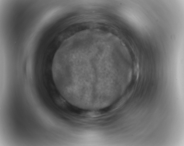 X0000088700383200706211949