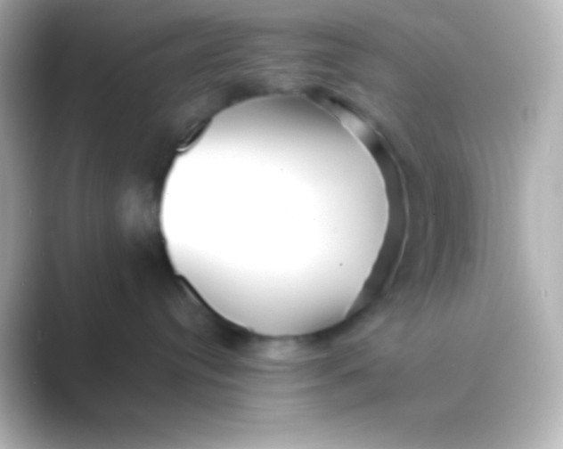 X0000088700384200706211949