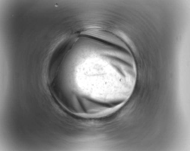 X0000088700385200706211948