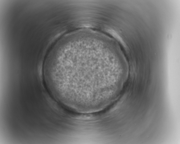 X0000088700386200706211948