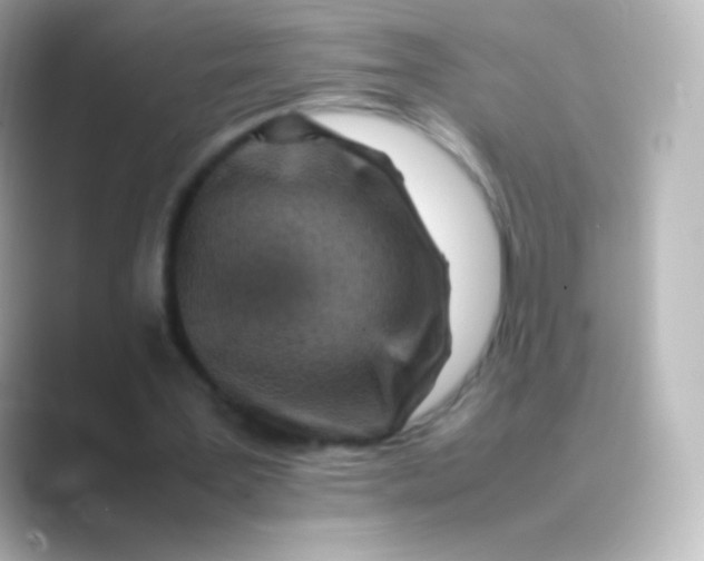 X0000088700387200706211948