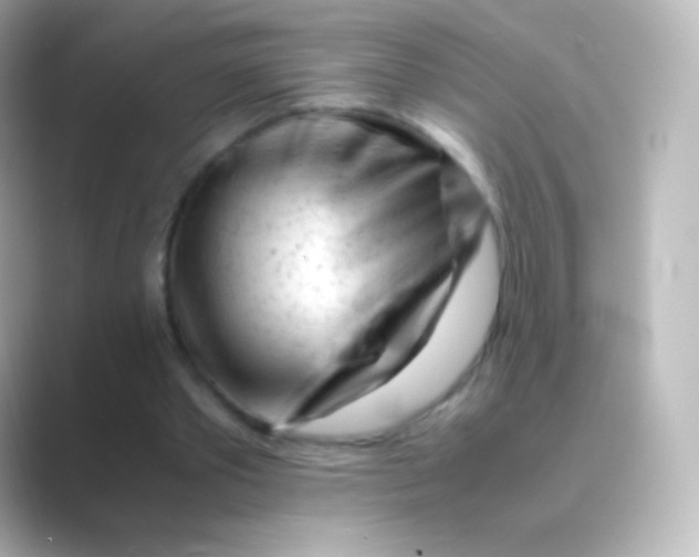 X0000088700389200706211948