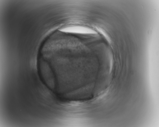 X0000088700391200706211948