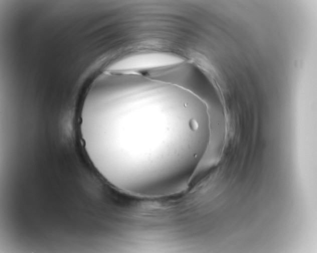 X0000088700392200706211948