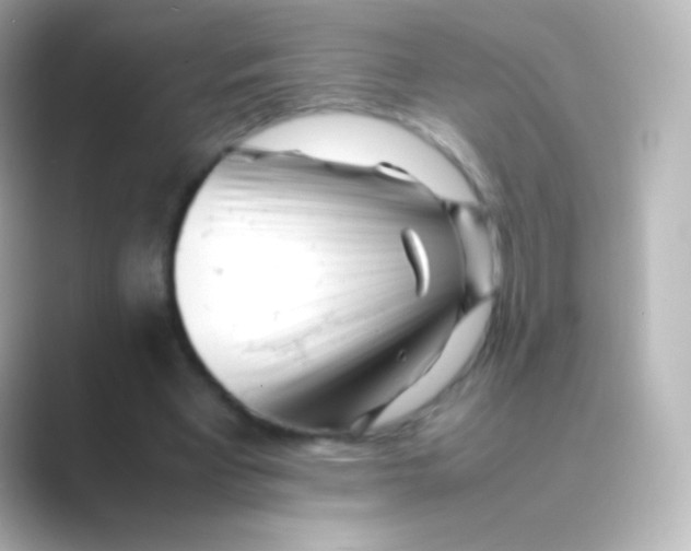 X0000088700393200706211948