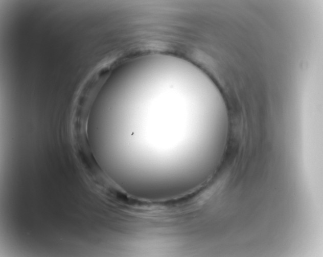 X0000088700395200706211948