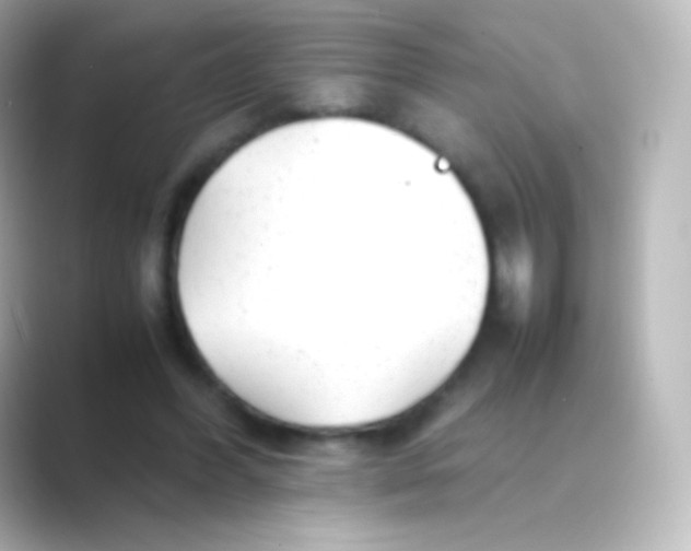 X0000088700396200706211948