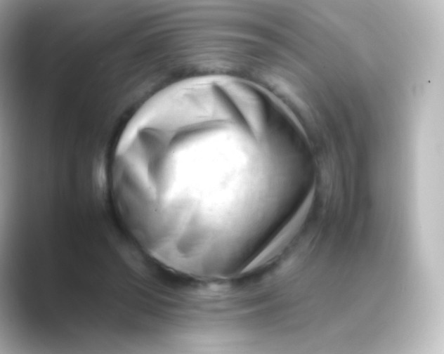 X0000088700398200706211948