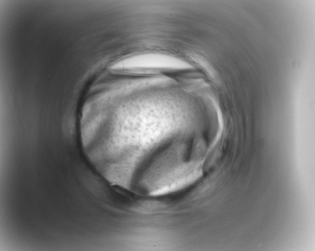 X0000088700399200706211948