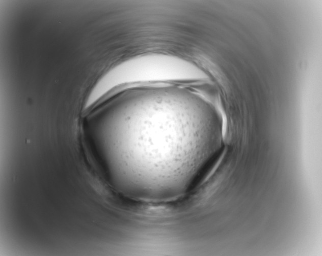 X0000088700401200706211948