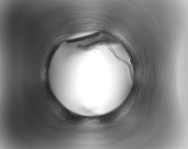 X0000088700403200706211948