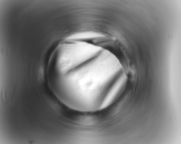 X0000088700404200706211948