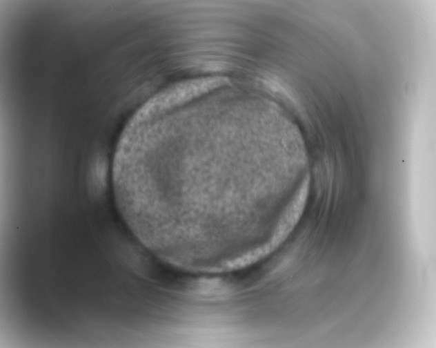 X0000088700406200706211948