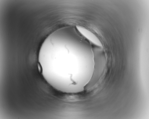 X0000088700407200706211948