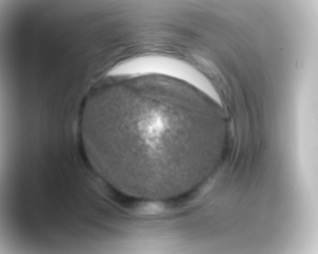 X0000088700409200706211948