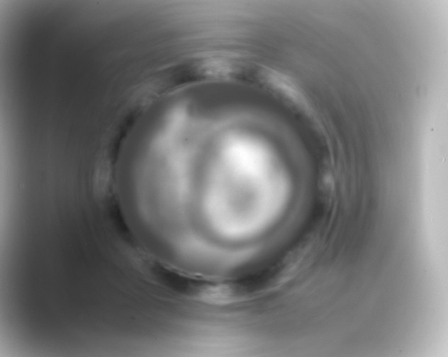 X0000088700411200706211948