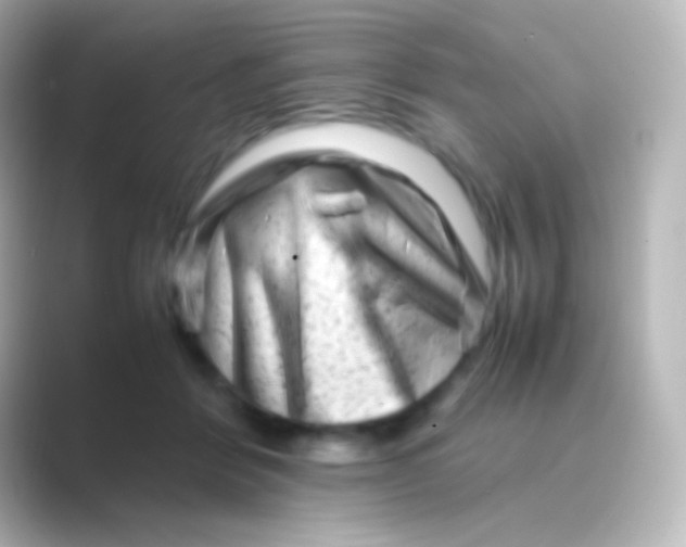 X0000088700412200706211948