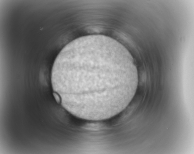 X0000088700414200706211948