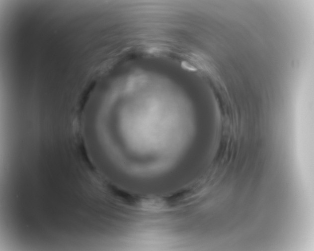 X0000088700415200706211948