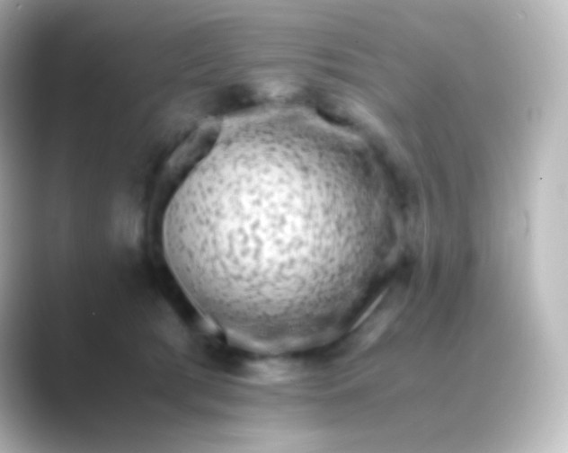 X0000088700417200706211948