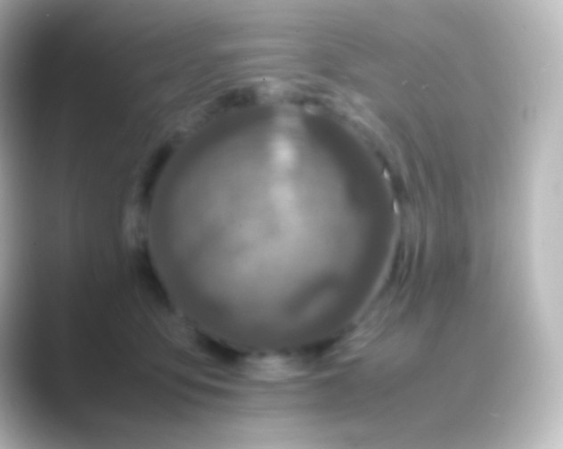 X0000088700419200706211948