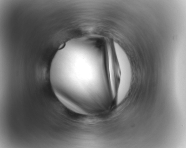 X0000088700420200706211948