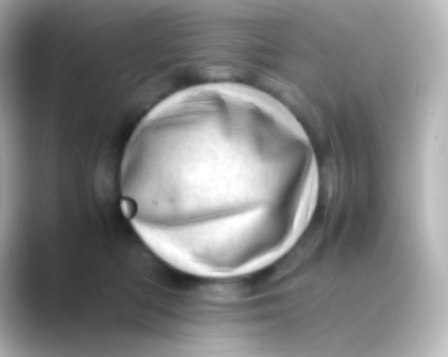 X0000088700422200706211948