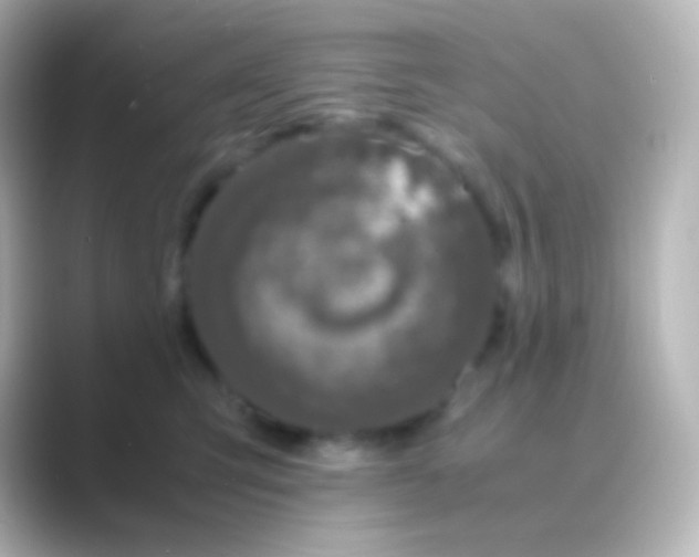 X0000088700423200706211948