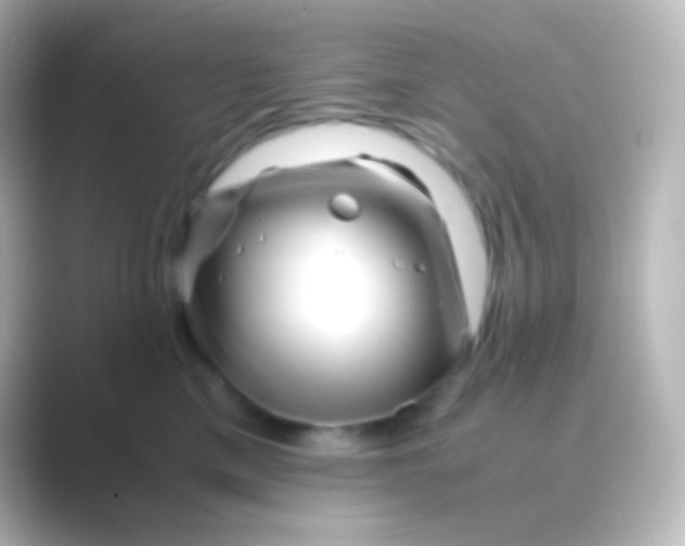 X0000088700425200706211948