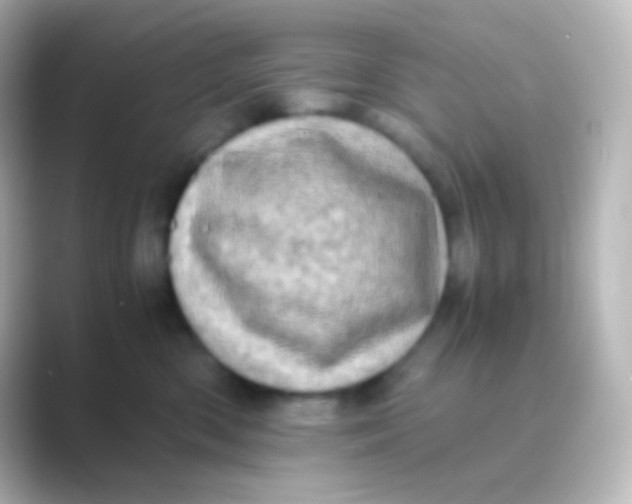 X0000088700426200706211948