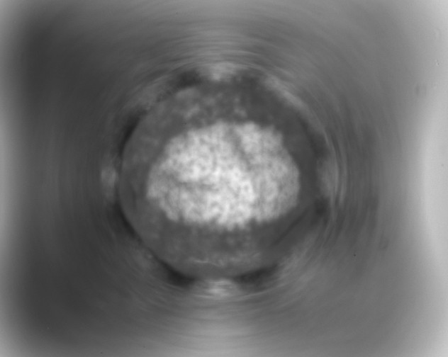 X0000088700427200706211948