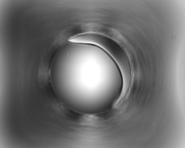 X0000088700429200706211948