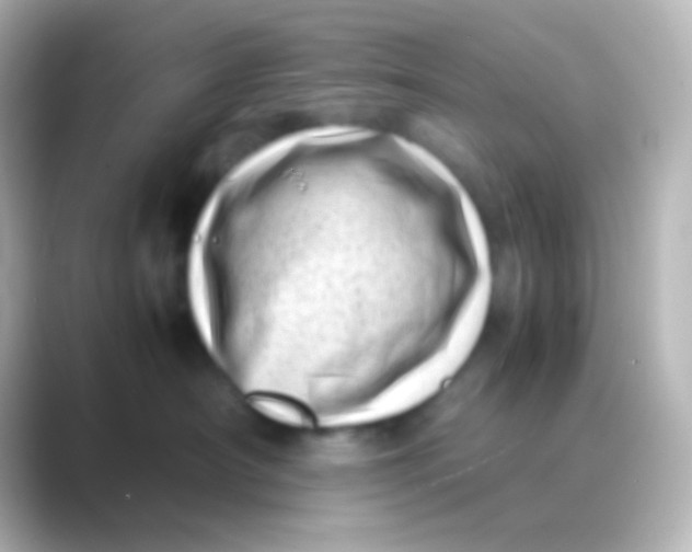 X0000088700430200706211948