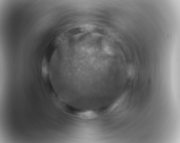 X0000088700431200706211948