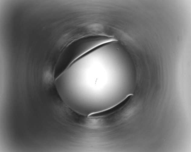 X0000088700432200706211948