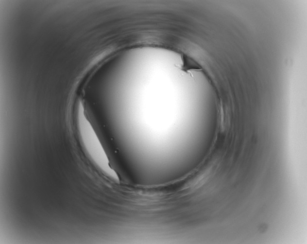 X0000088700435200706211947