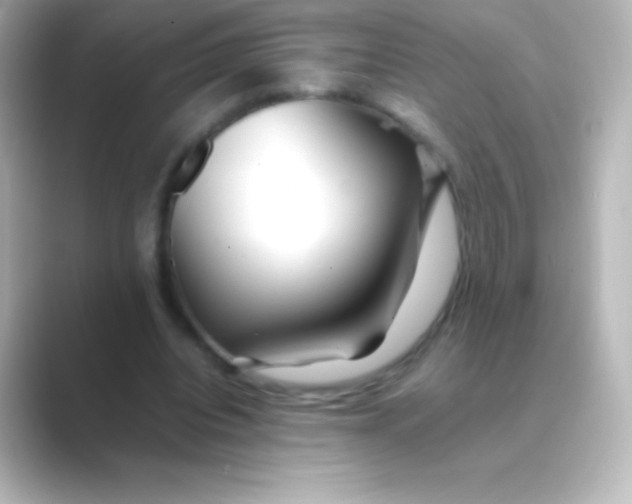 X0000088700440200706211947