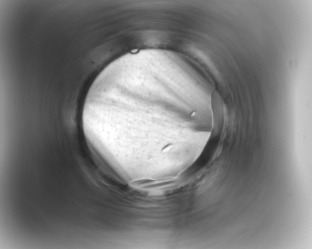 X0000088700443200706211947