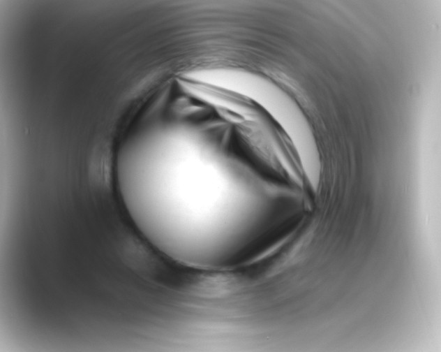 X0000088700446200706211947