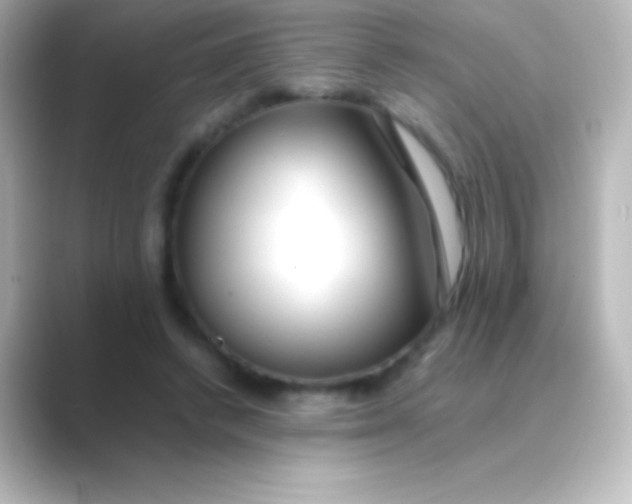 X0000088700448200706211947