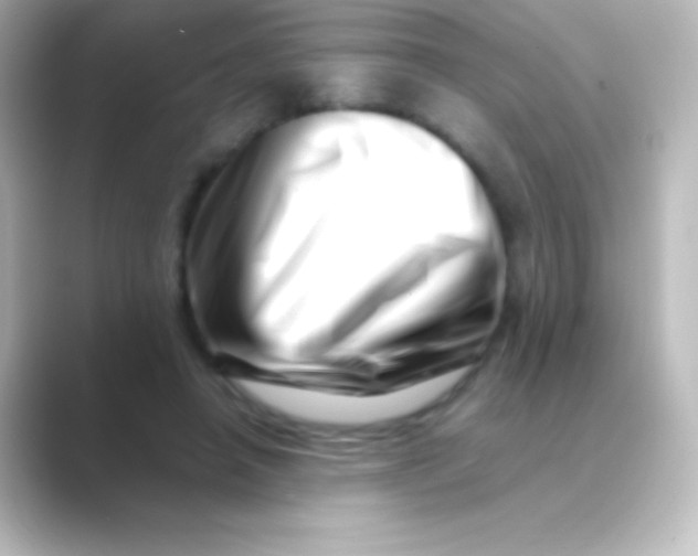 X0000088700450200706211947