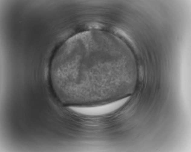 X0000088700451200706211947