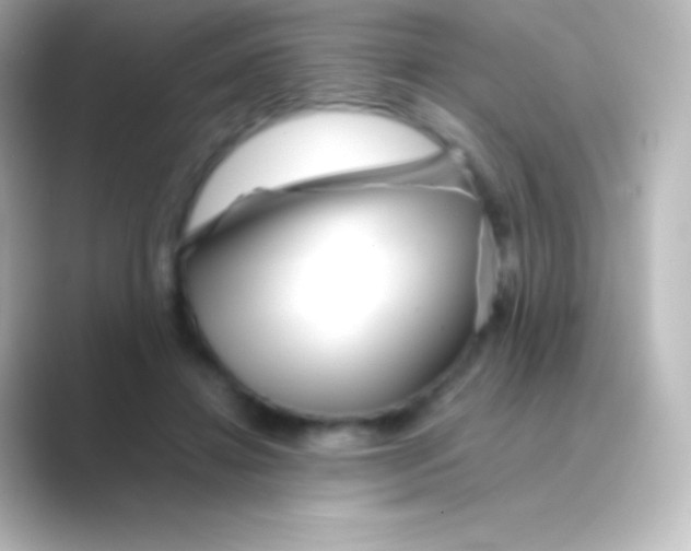 X0000088700452200706211947