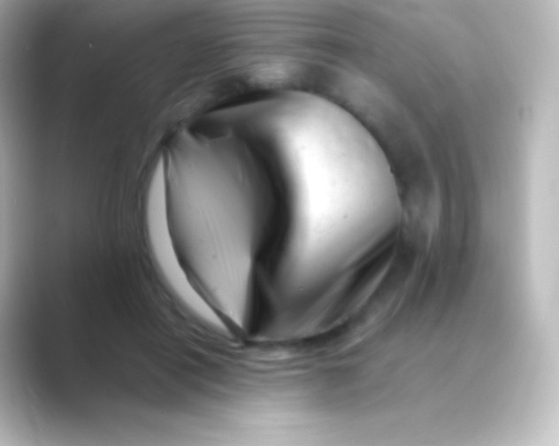 X0000088700454200706211947