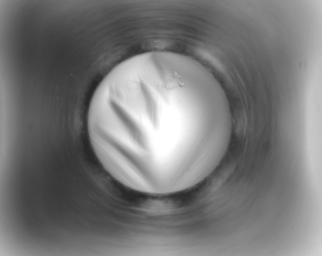 X0000088700455200706211947