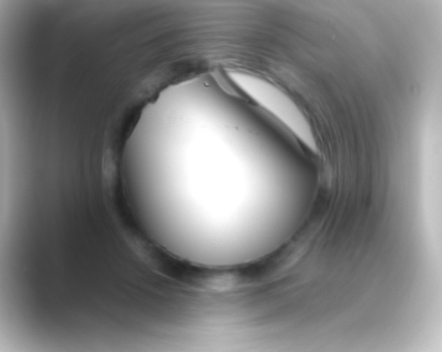 X0000088700456200706211947